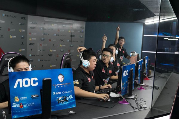 小麦组合的 小麦组合的