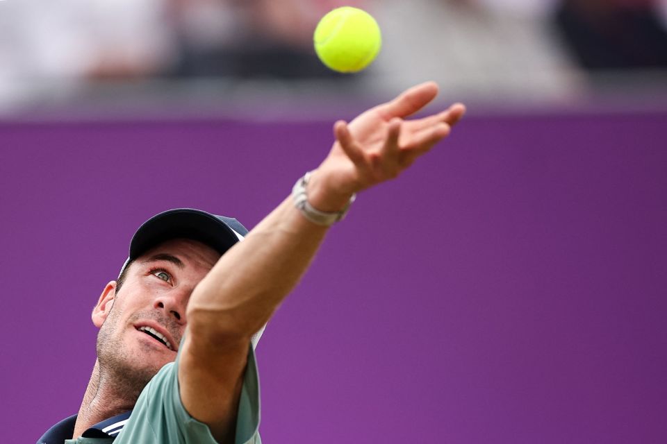 向多样化 向多样化